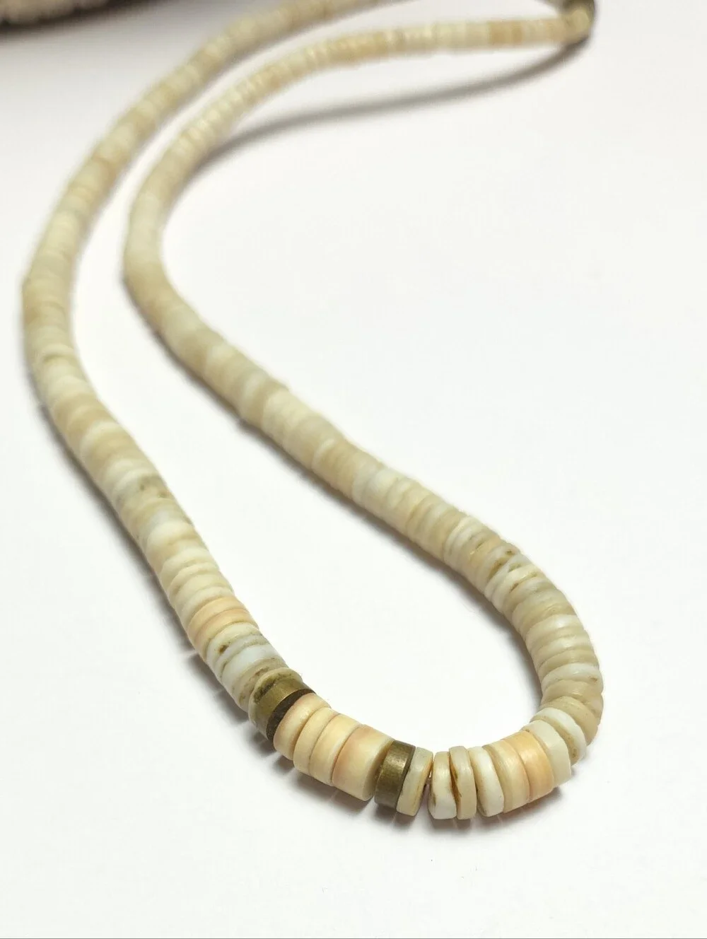 Vintage Puka Shell & Melon Shell with Gold Disk Beaded Necklace Santo Domingo